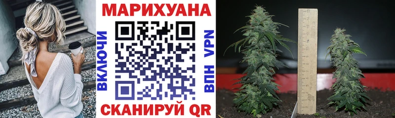 гидра зеркало Вытегра Шишки марихуана White Widow