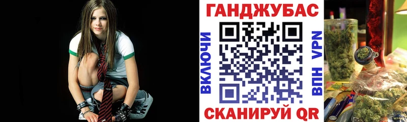 Шишки марихуана Amnesia Вытегра